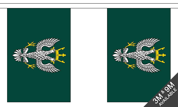 Mercian Regiment Bunting